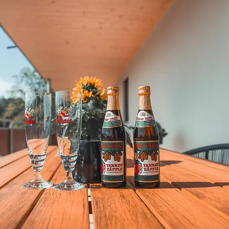 Steinablick Mit Grossem Balkon & Garage